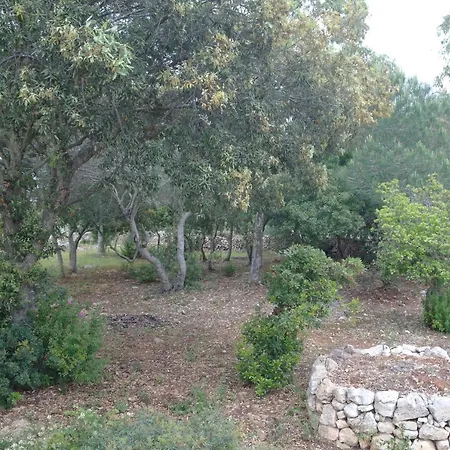Pajara Fazzadio Lido Marini